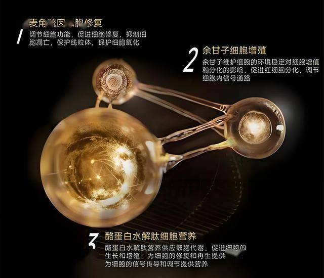 “武夷品牌”品控体系建设现场观摩推动会召开